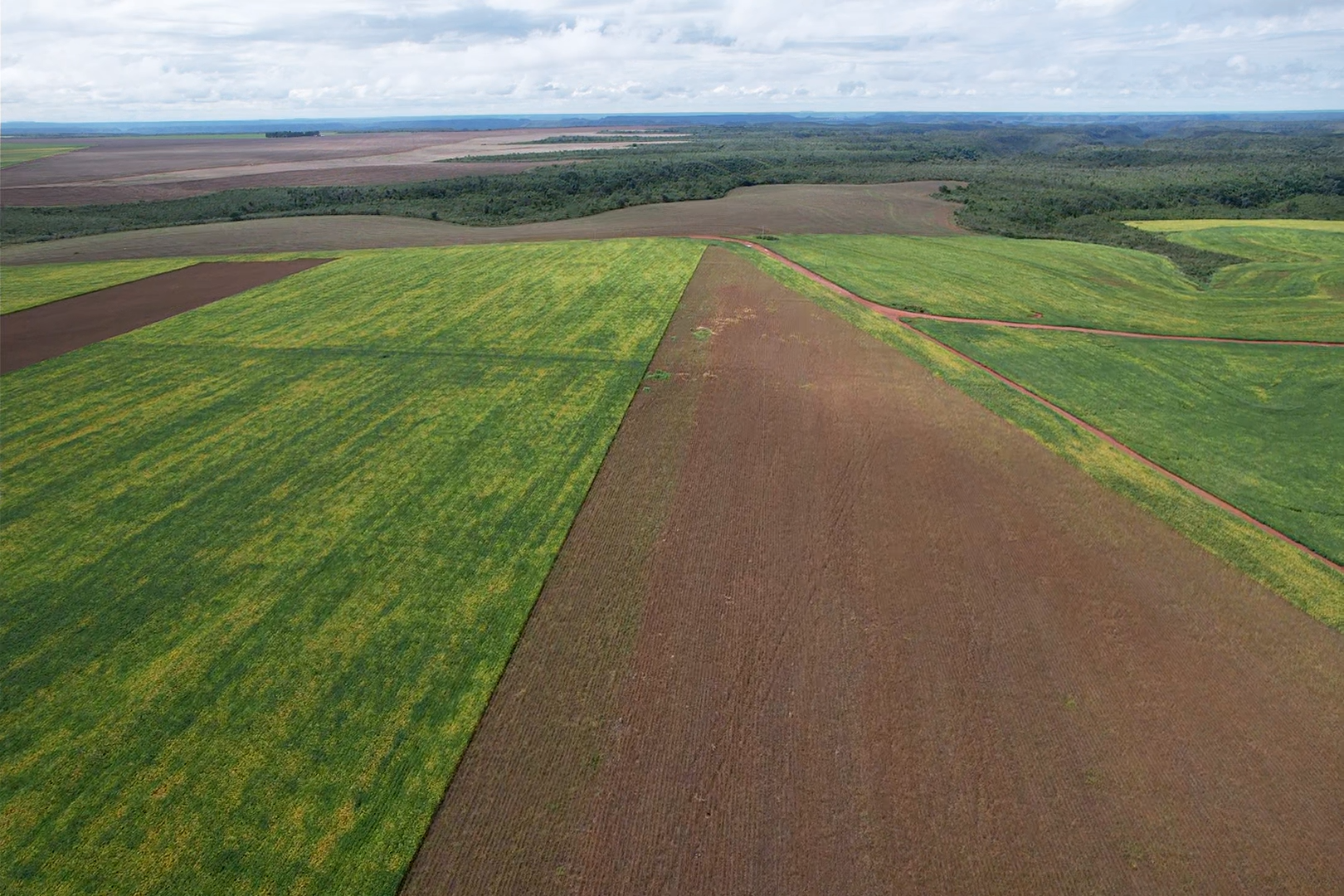 Aerial view of AgroDrone Solutions drone spraying operations